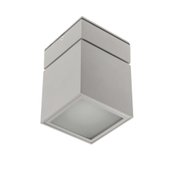 Surface Mount Ceiling Cube